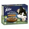 Felix Naturally Delicious Vom Hof 10x80G